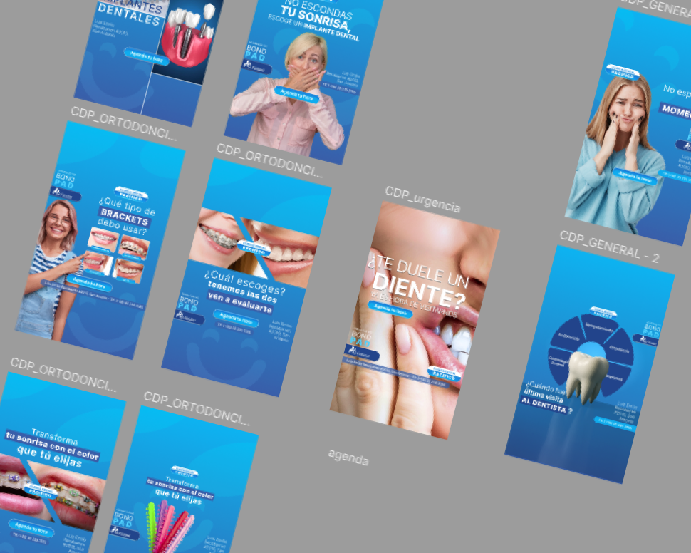 Objetivos del proyecto